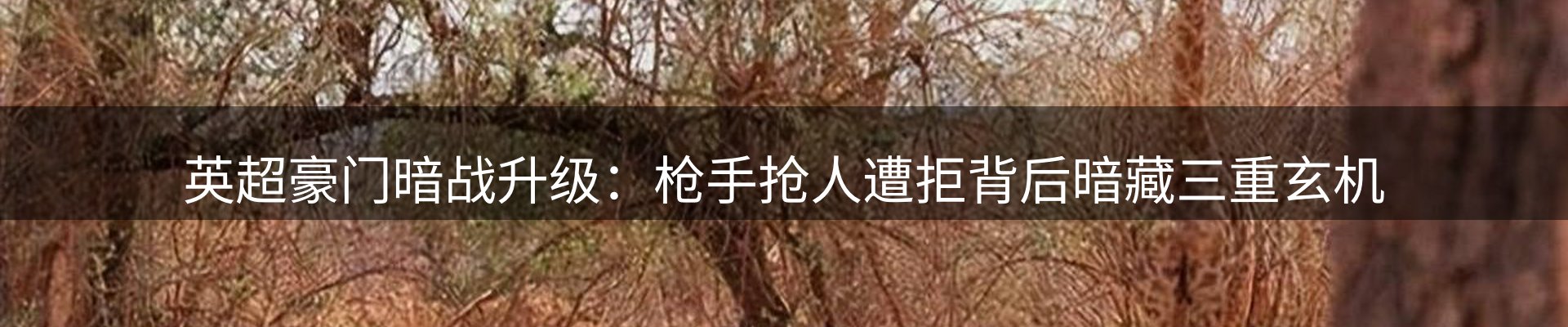 品牌资讯